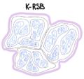 Thumbnail for version as of 19:50, 2 February 2024