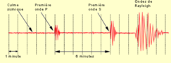 After an earthquakes elastic waves are emitted from the epicenter. Seismographs can record both longitudinal and transverse waves. The longitudinal are quicker and for this reason called primary (P-waves), the transverse are then called secondary (S-waves). A third kind of waves is also recorded: the Railegh waves. Railegh wave are also solution of the D'Alembert equation but the propagate only.