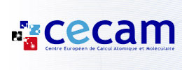 Logo CECAM